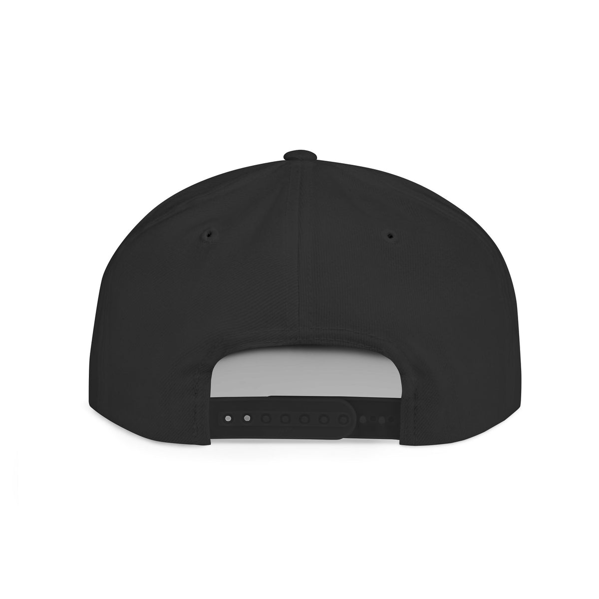 2008 FINANCIAL CRISIS — Embroidered Snapback Hat — image 4
