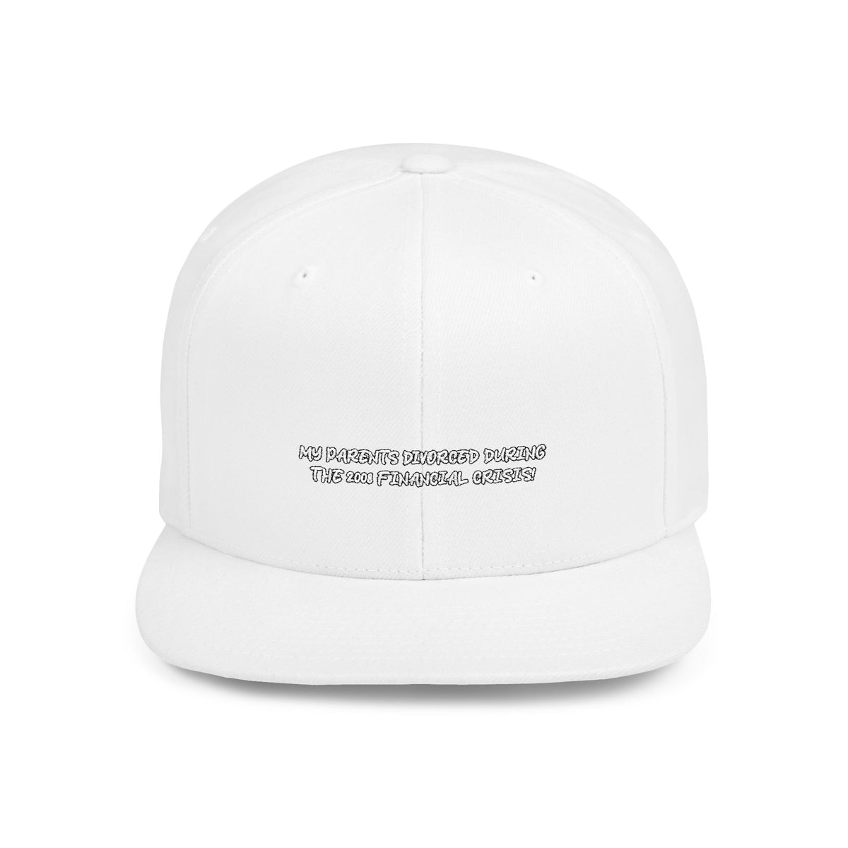 2008 FINANCIAL CRISIS — Embroidered Snapback Hat — image 2