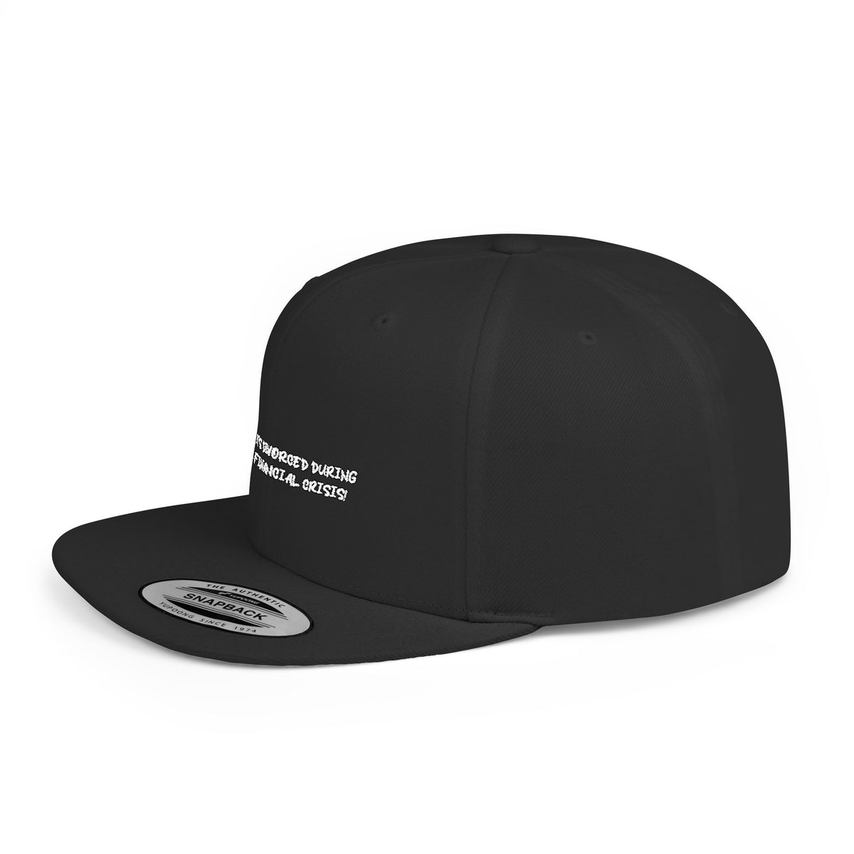 2008 FINANCIAL CRISIS — Embroidered Snapback Hat — image 5
