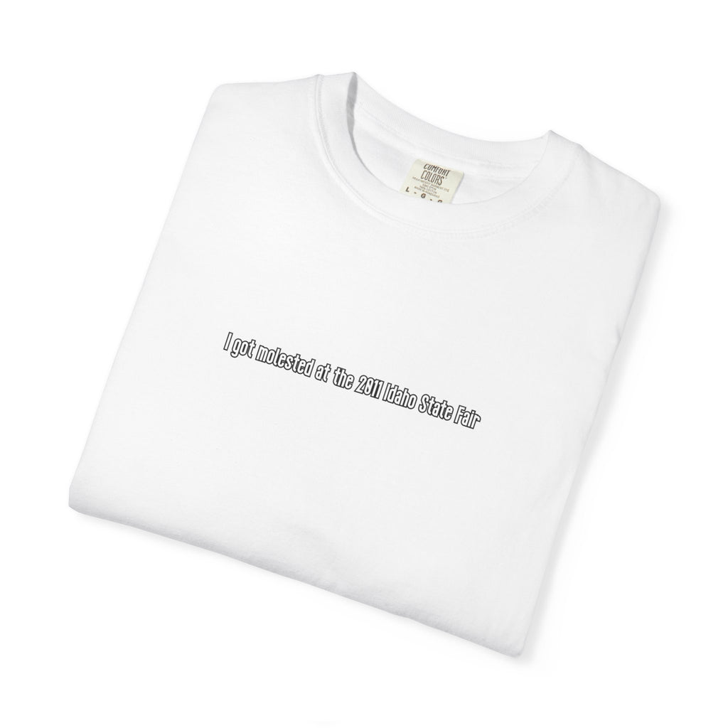 molested state fair — Heavyweight Graphic Tee — image 7